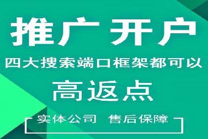 SEM代运营推广公司案例，揭秘高效广告投放策略